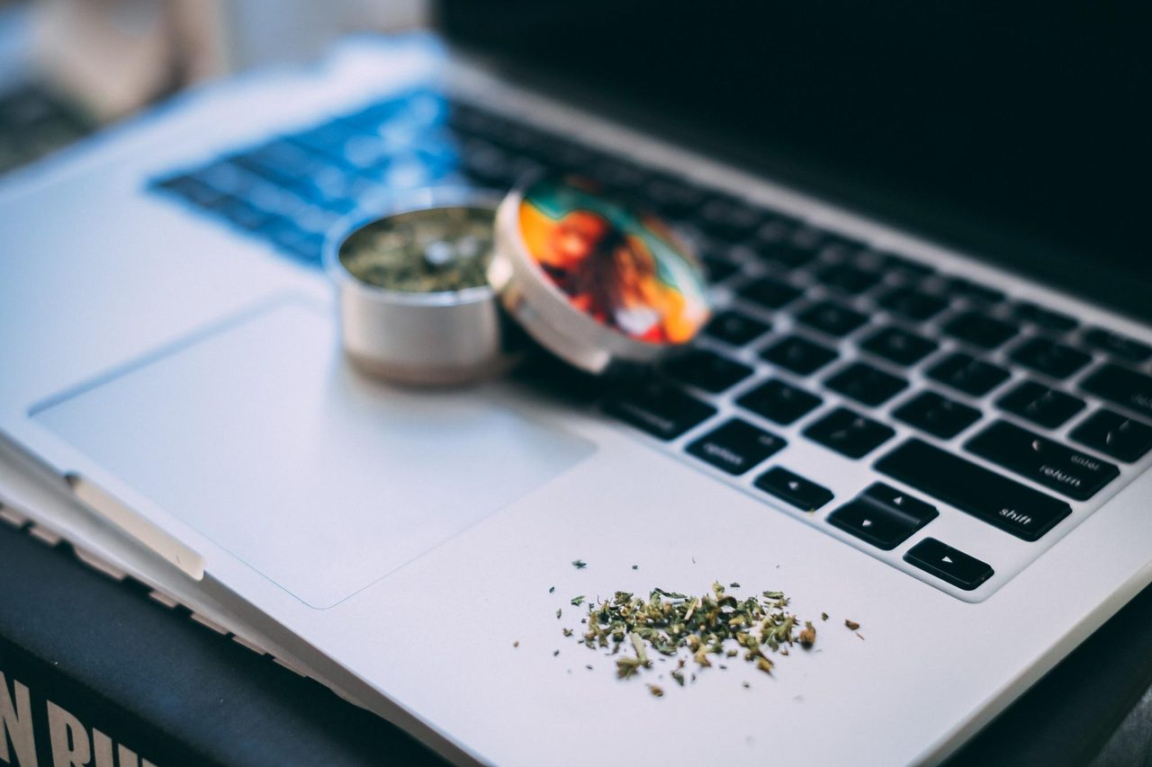 CBD SEO for Companies - How to Rank Higher and Grow Traffic