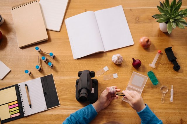 Content Creation Tools - 20 Essential Resources for Marketers