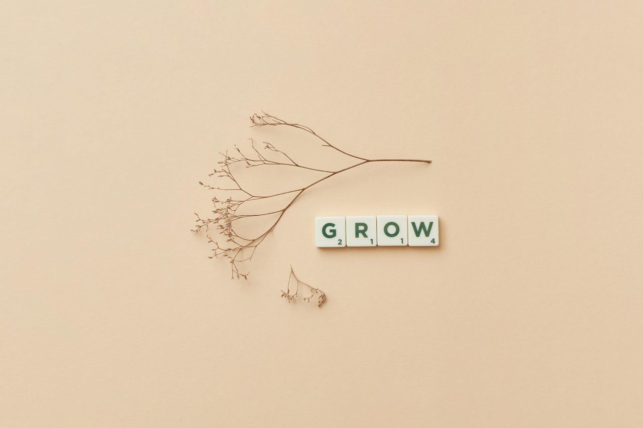 Find Growth Opportunities for Website: Proven SEO Methodology
