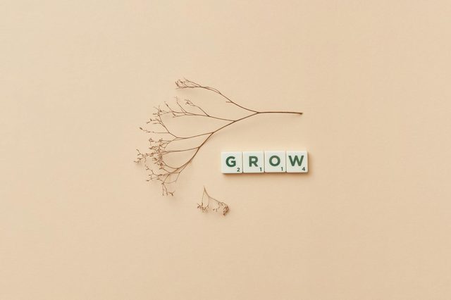 Find Growth Opportunities for Website: Proven SEO Methodology