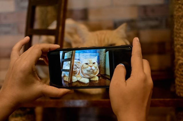 How to Use AITryon’s Photo-to-Video Tool with the Latest Video AI Models - A Practical Guide