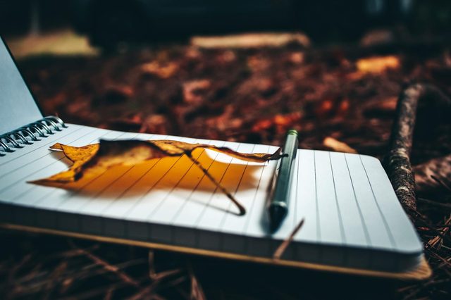 How to Write Prompts for Image Generation - Part 2 - Advanced Techniques and Best Practices