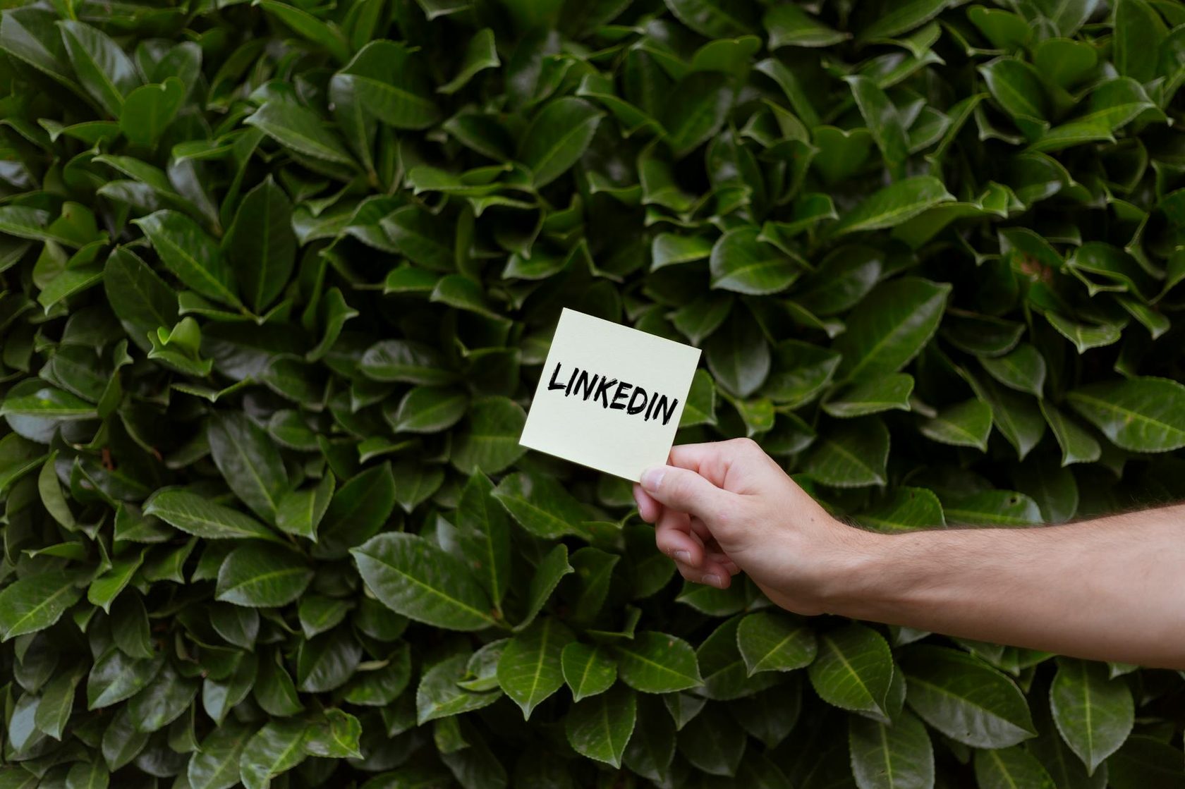 LinkedIn Statistics 2026 - 28 Must-Know Metrics for Marketers