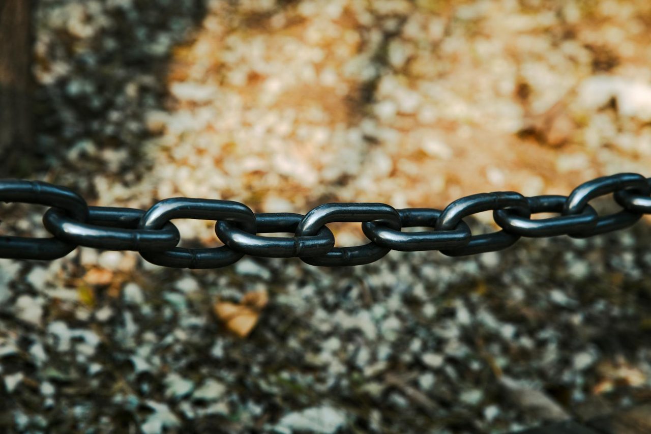 What Is Link Building? The Ultimate SEO Beginner's Guide for 2026
