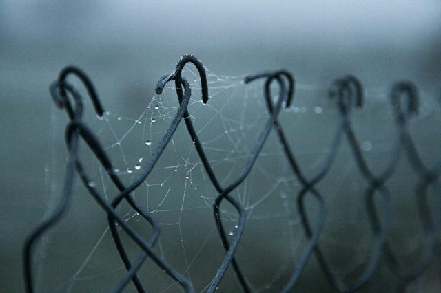Выявление спам-ссылок: Очистка и оптимизация вашего профиля ссылок