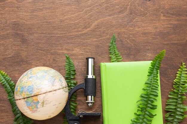 Assessing rigor in applied studies: validity, reliability, and trustworthiness in business contexts