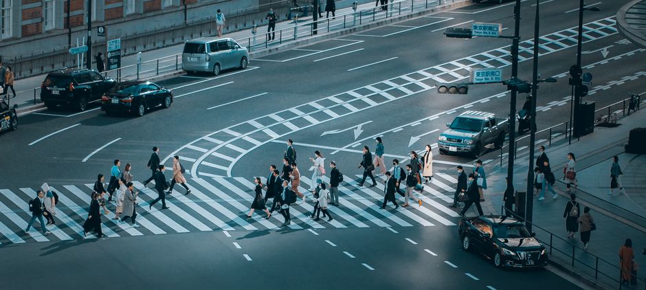 Operationalize Segments: Visualization, Dashboards, and Actionable Workflows