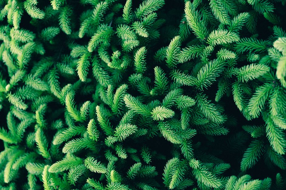 Tip 2: Build a durable content structure with reusable outlines and templates