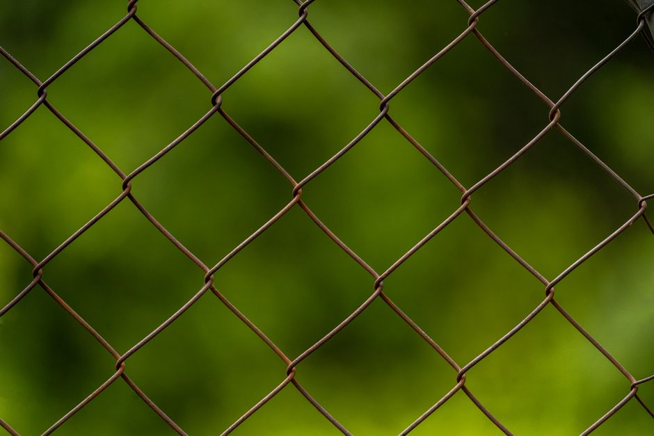 5 Effective Ways to Build Links Through Content Marketing: A Practical Guide