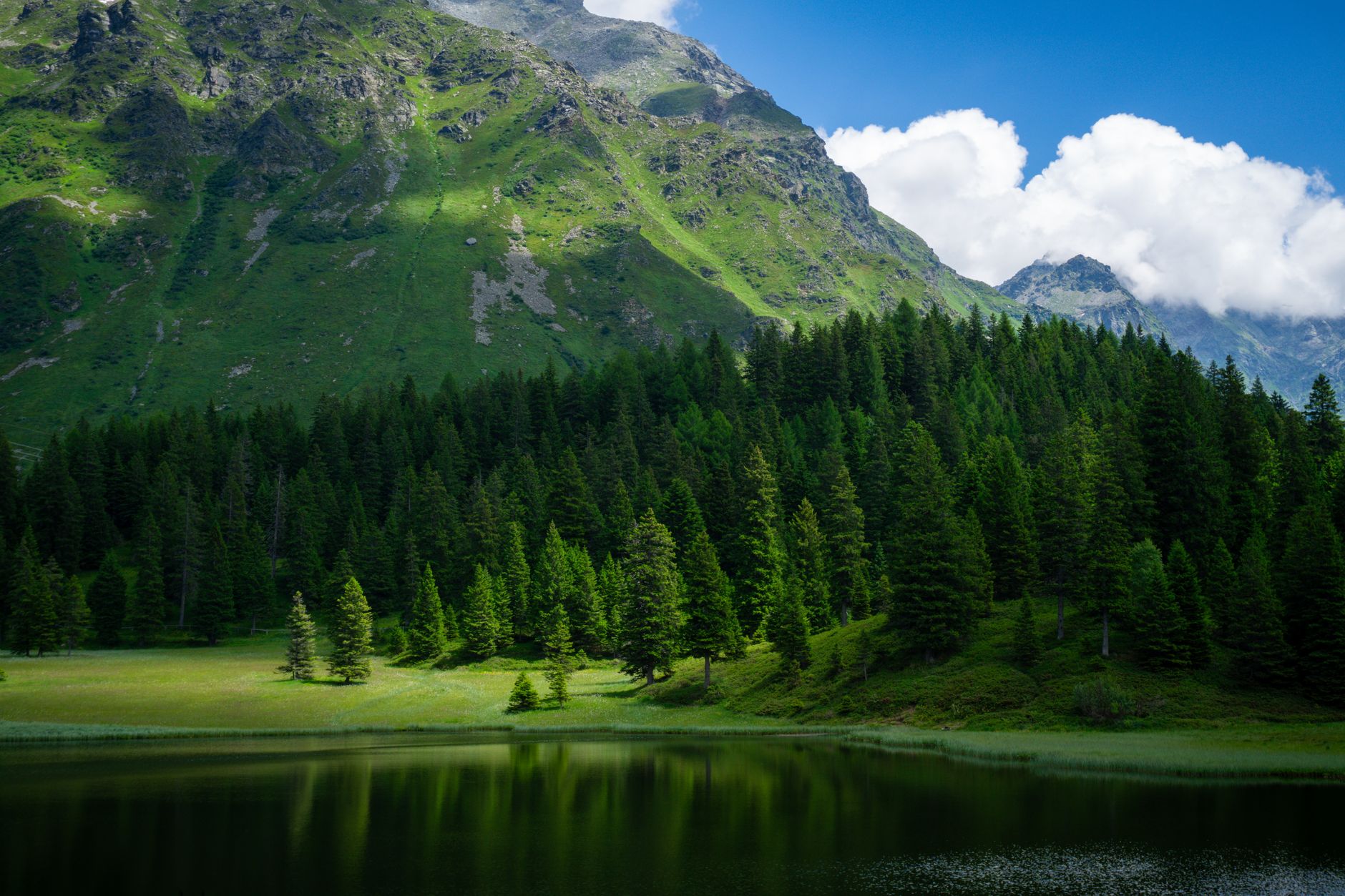 What is Environment in AI - Types of Environments in AI - A Complete Guide