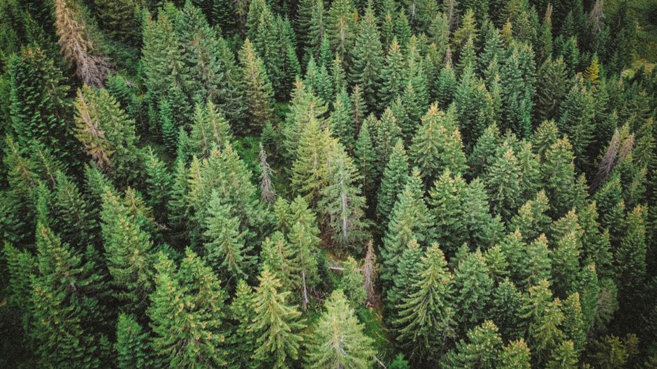 The Ultimate Guide to Evergreen Content - 4 Practical Tips and Examples The Ultimate Guide to Evergreen Content: 4 Practical Tips and Examples