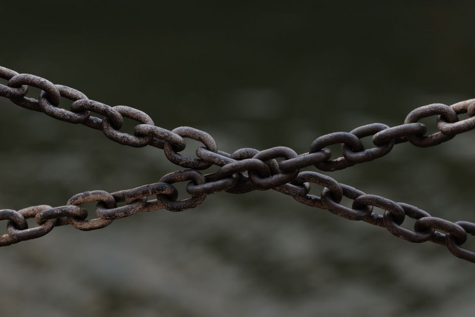 14 Best Link Building Services for Your Business in 2025