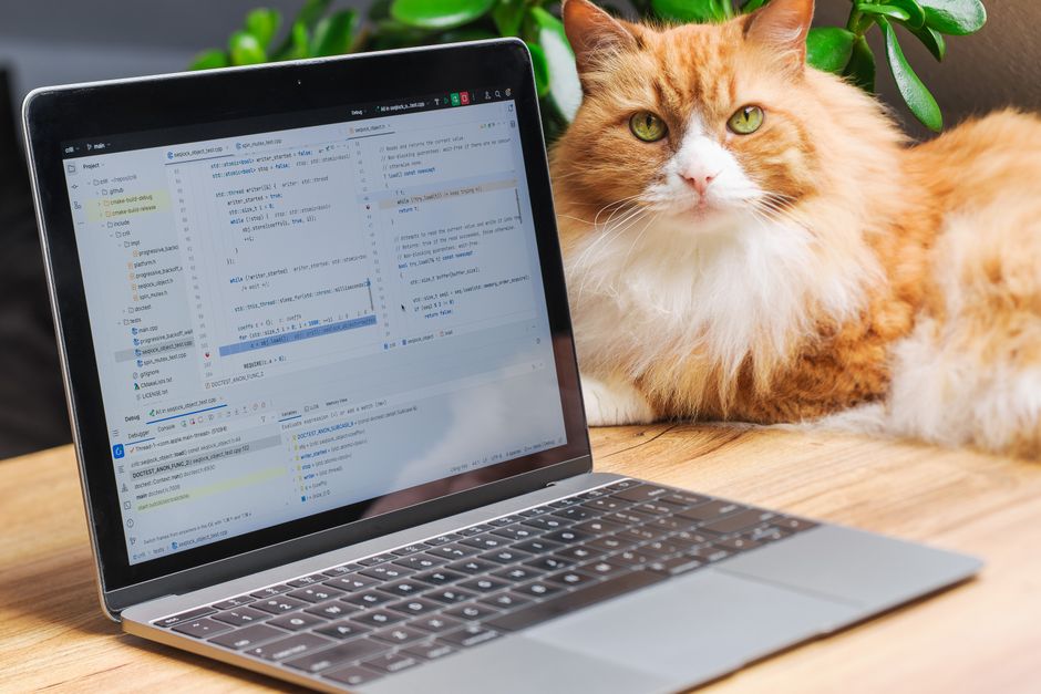Key Factors: Commission, Cookie Duration, and Payout Terms