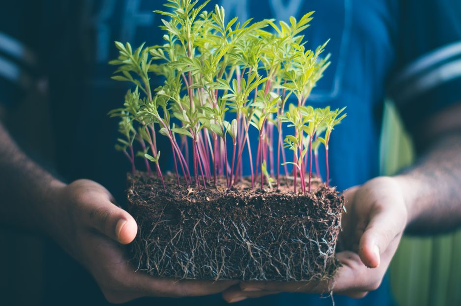 Lead Nurturing: Turn Prospects into Customers with Tactics