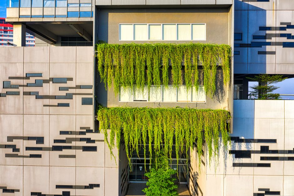 A Line from Greenline - Sustainable Design Trends and Innovation A Line from Greenline: Sustainable Design Trends and Innovation