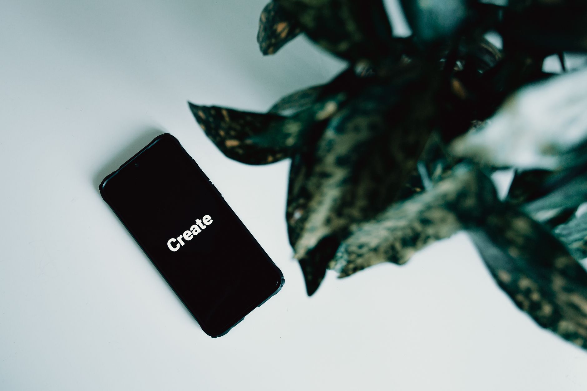 8 Essential Steps to Create a Digital Marketing Plan