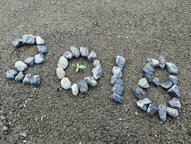 URL Structure and Internal Linking: Clean paths, logical hierarchies, and anchor distribution