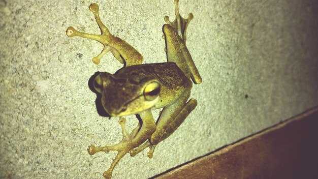 Crawl, Audit, and Identify Duplicate Content: Practical Workflows