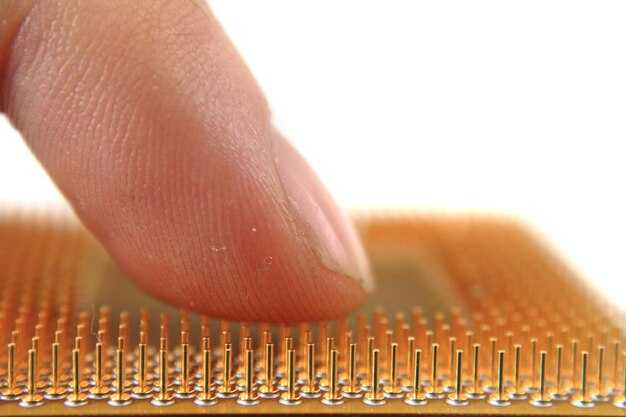What Is the Louis Vuitton Electronic Microchip? RFID Chip Explained