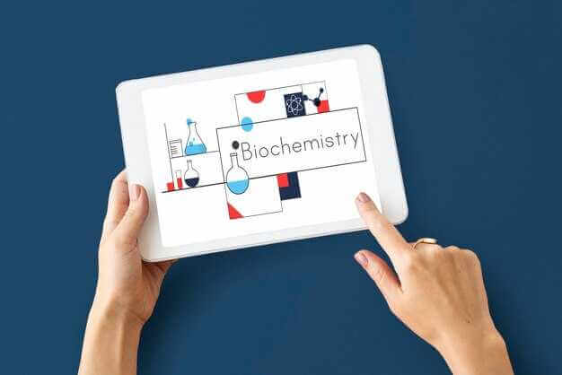 Data-backed link bait content used to earn high-quality backlinks